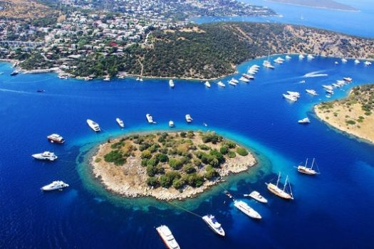 Muğla'da 06 Ekim 2021 Tarihinde DASK Oranları.