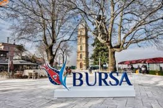 Bursa'da Yabancıya Satılan Konut Sayıları.